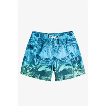 Bermude de plaja cu imprimeu, multicolor